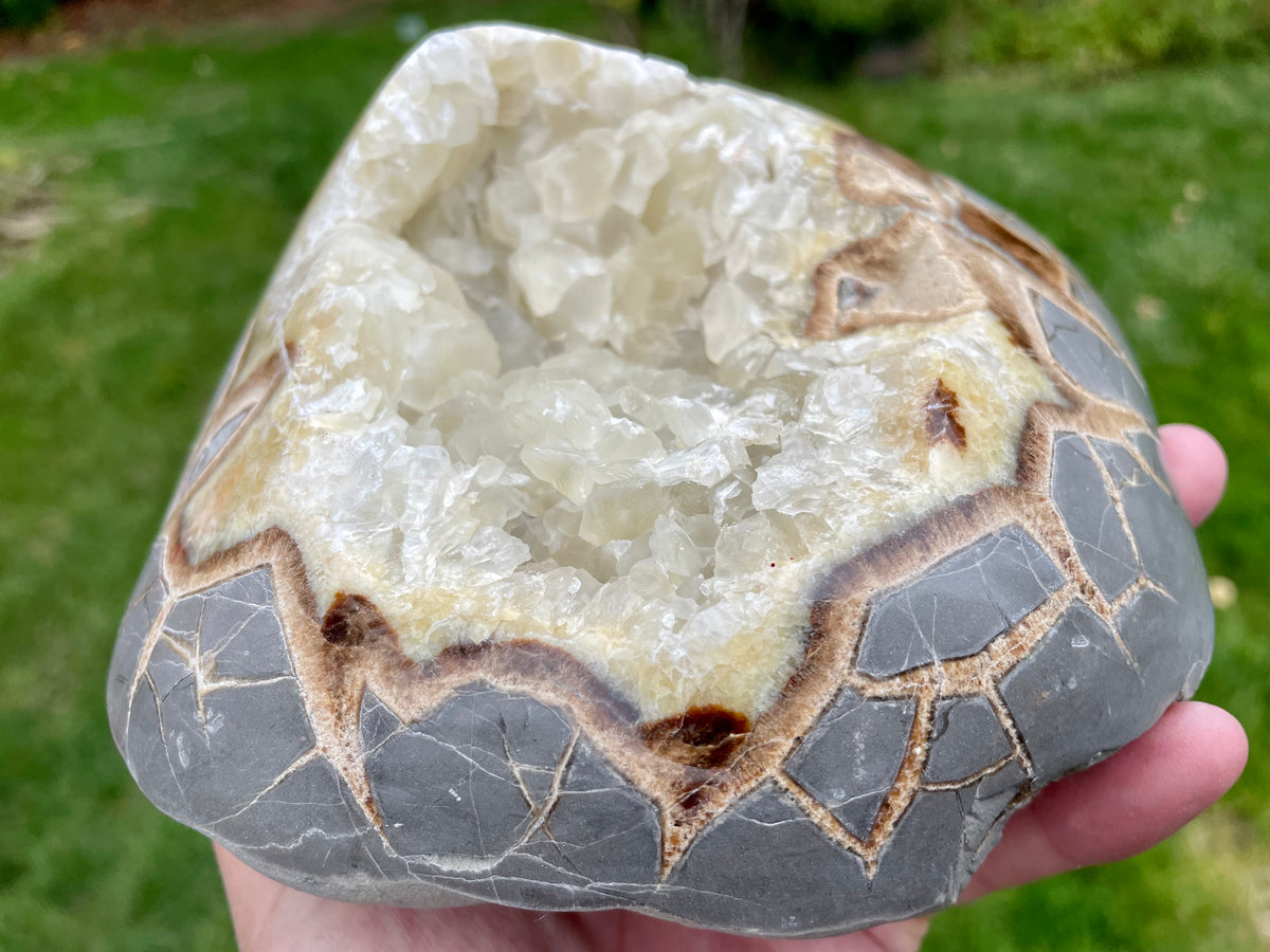 Septaria Geode Large Crystal Septarian Geode/Nodule freeform– The Rock Pile Lapidary Arts
